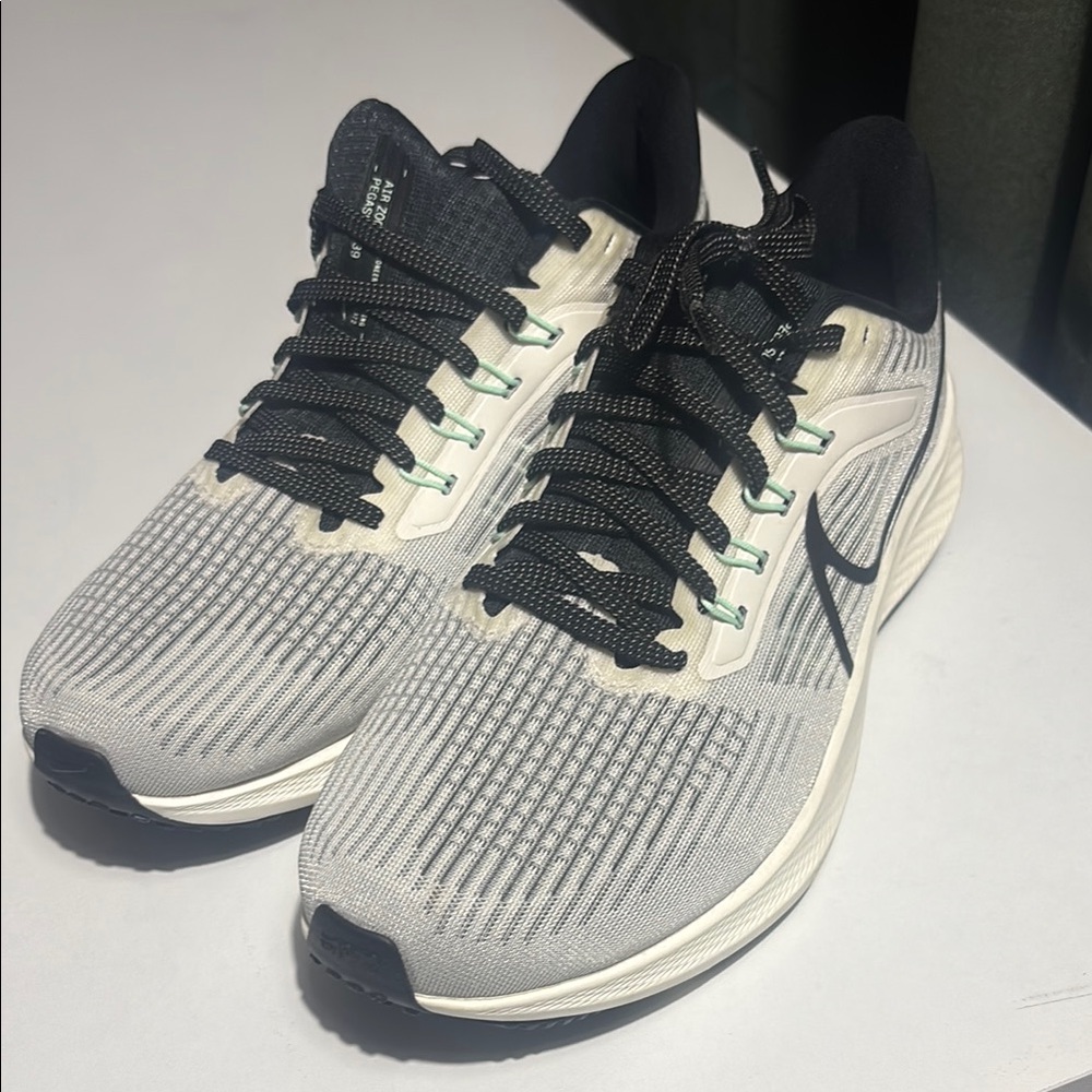 Nike Air Zoom Pegasus 39